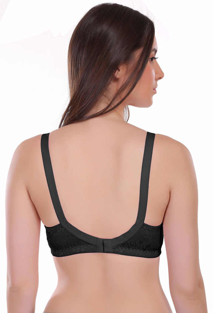 Eve's Beauty Bra Collections: Affordable Styles, Exclusive Deals